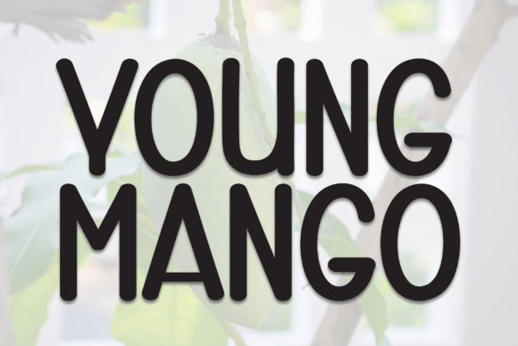 Young Mango: A Font That Elevates Your Brand